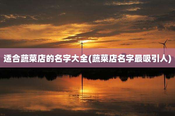 适合蔬菜店的名字大全(蔬菜店名字最吸引人)