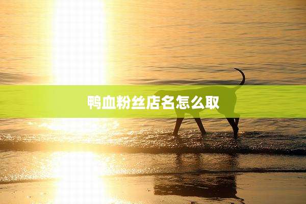 鸭血粉丝店名怎么取