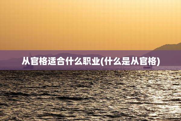 从官格适合什么职业(什么是从官格)