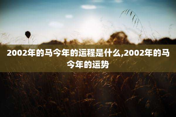 2002年的马今年的运程是什么,2002年的马今年的运势