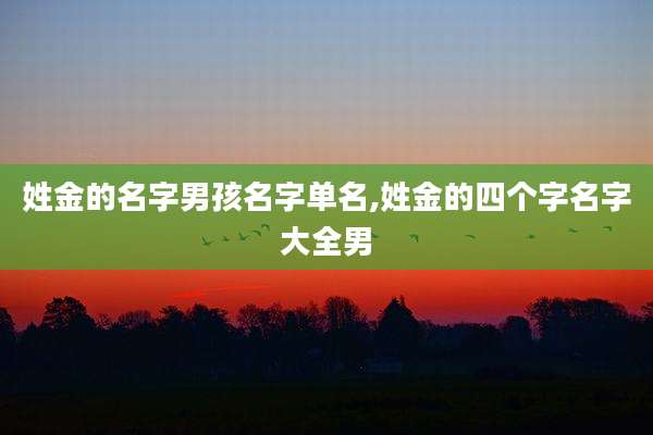 姓金的名字男孩名字单名,姓金的四个字名字大全男