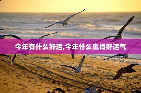 今年有什么好运,今年什么生肖好运气