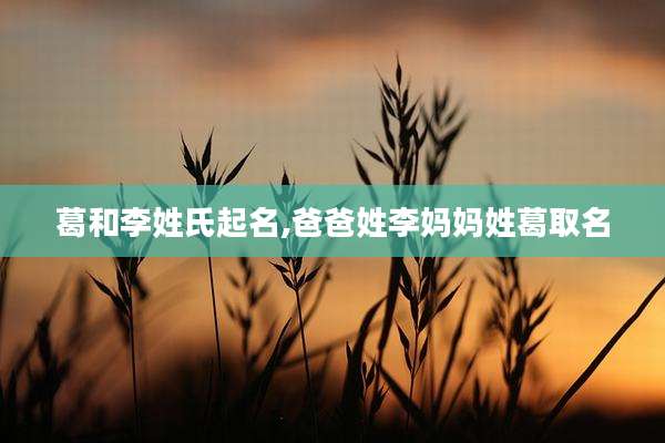 葛和李姓氏起名,爸爸姓李妈妈姓葛取名