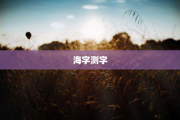 海字测字