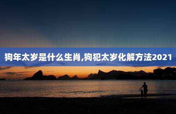 狗年太岁是什么生肖,狗犯太岁化解方法2021