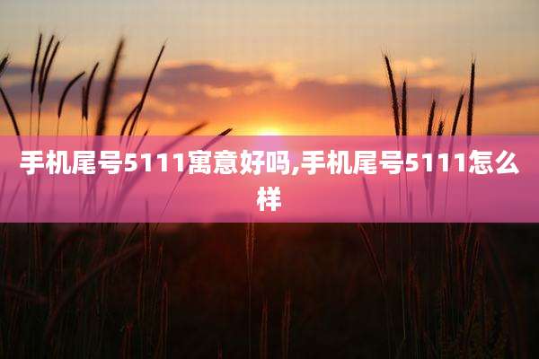 手机尾号5111寓意好吗,手机尾号5111怎么样