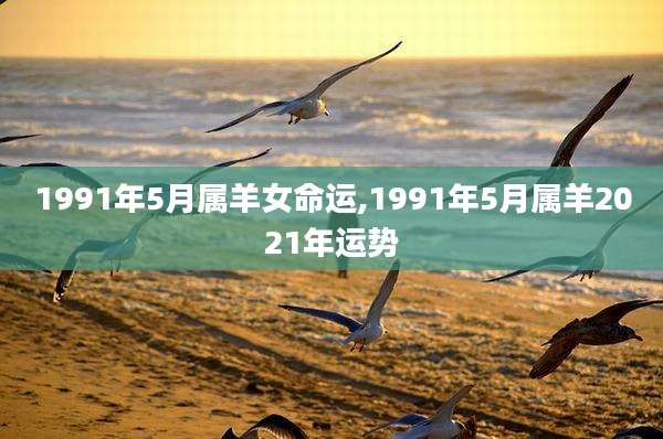 1991年5月属羊女命运,1991年5月属羊2021年运势