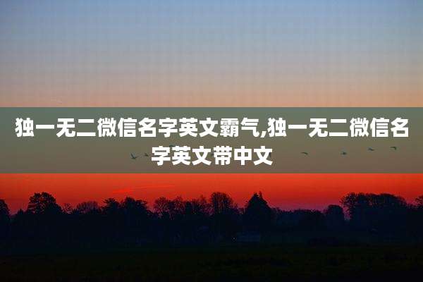 独一无二微信名字英文霸气,独一无二微信名字英文带中文