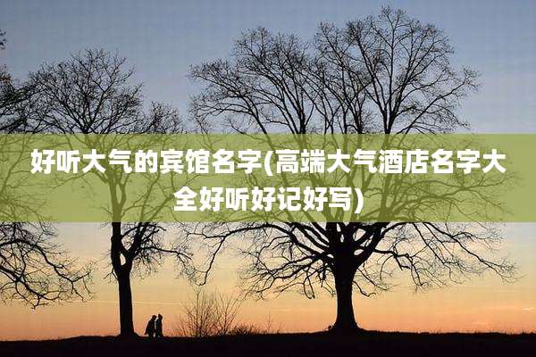 好听大气的宾馆名字(高端大气酒店名字大全好听好记好写)