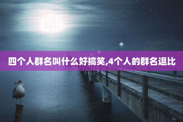 四个人群名叫什么好搞笑,4个人的群名逗比