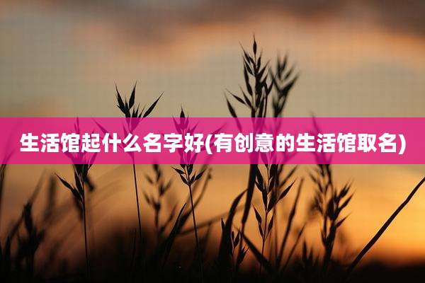 生活馆起什么名字好(有创意的生活馆取名)