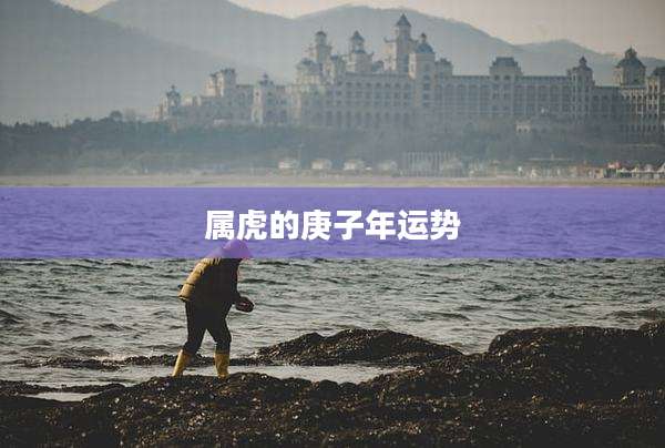 属虎的庚子年运势