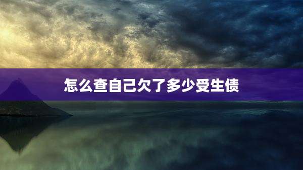 怎么查自己欠了多少受生债