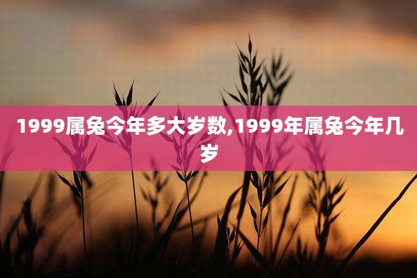 1999属兔今年多大岁数,1999年属兔今年几岁