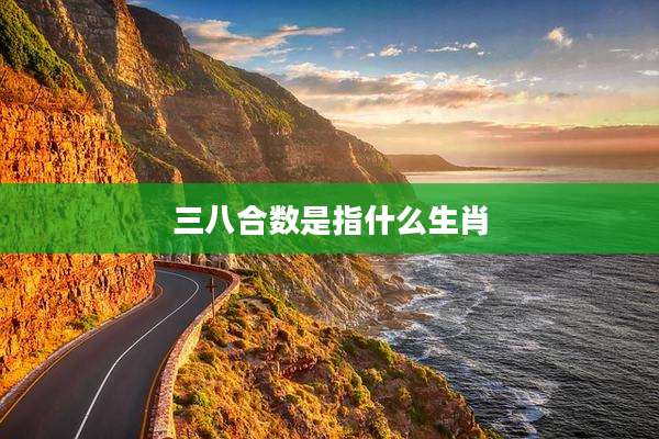 三八合数是指什么生肖
