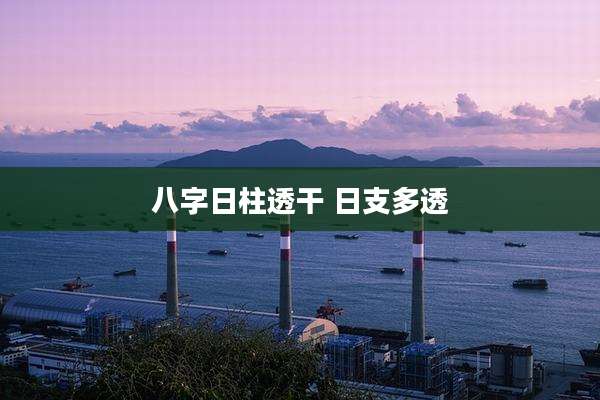 八字日柱透干 日支多透