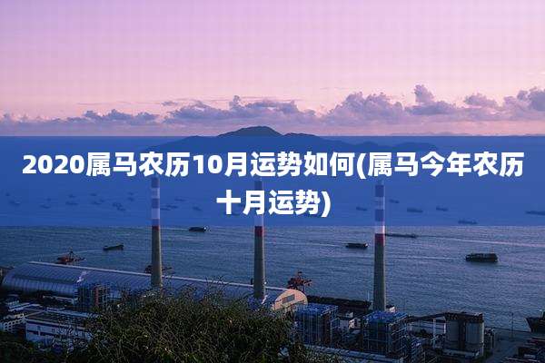 2020属马农历10月运势如何(属马今年农历十月运势)