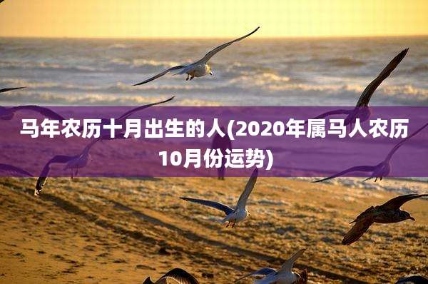 马年农历十月出生的人(2020年属马人农历10月份运势)