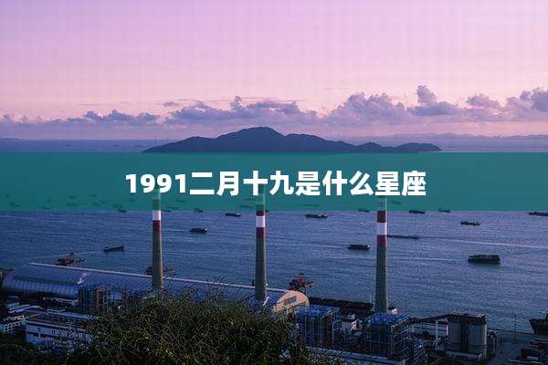 1991二月十九是什么星座