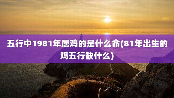 五行中1981年属鸡的是什么命(81年出生的鸡五行缺什么)