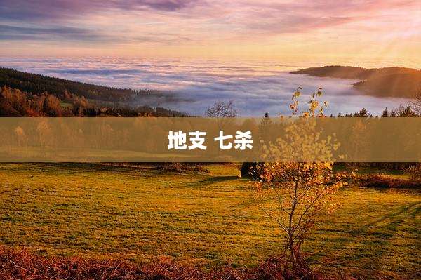 地支 七杀