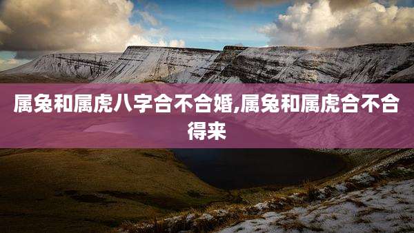 属兔和属虎八字合不合婚,属兔和属虎合不合得来