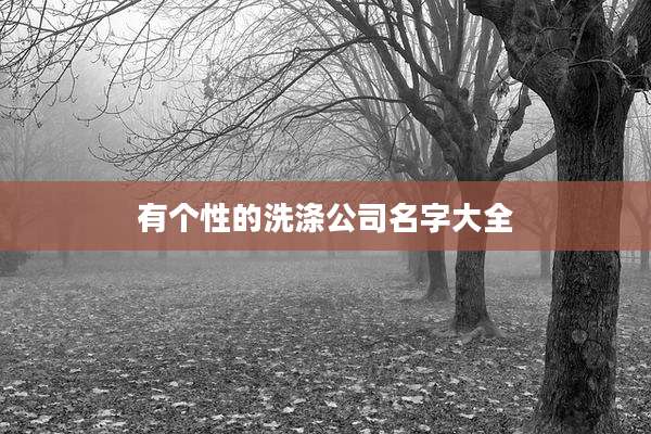 有个性的洗涤公司名字大全