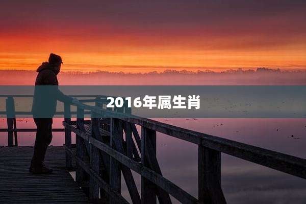 2016年属生肖
