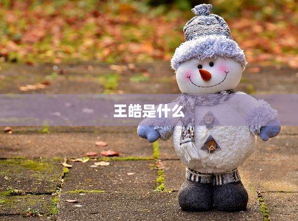 王皓是什么