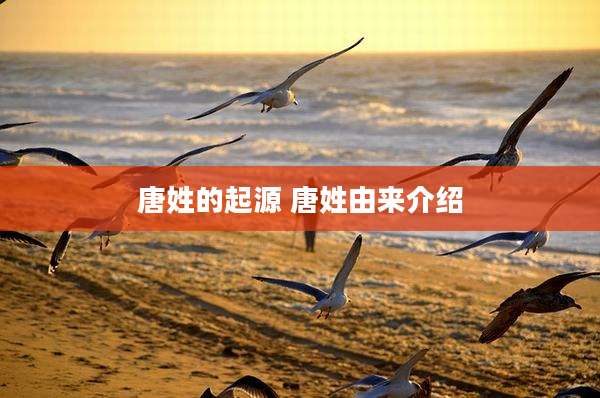 唐姓的起源 唐姓由来介绍