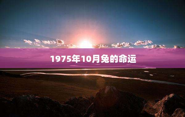 1975年10月兔的命运