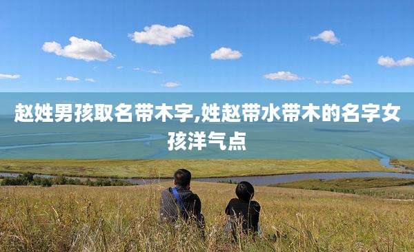 赵姓男孩取名带木字,姓赵带水带木的名字女孩洋气点