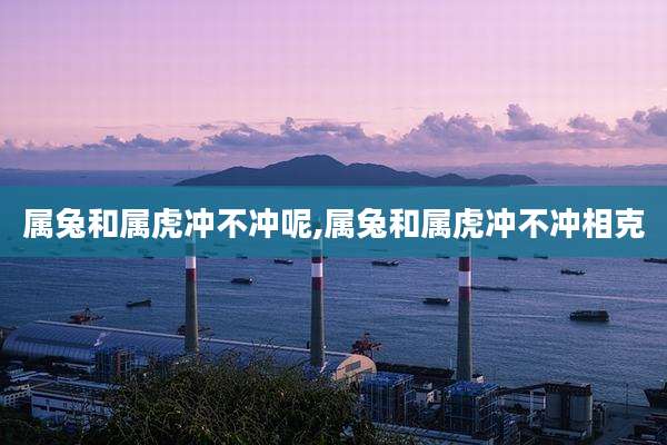 属兔和属虎冲不冲呢,属兔和属虎冲不冲相克
