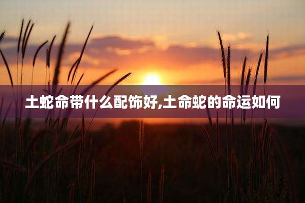 土蛇命带什么配饰好,土命蛇的命运如何