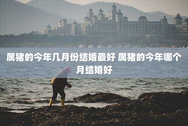 属猪的今年几月份结婚最好 属猪的今年哪个月结婚好