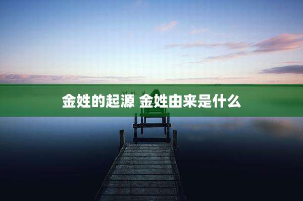 金姓的起源 金姓由来是什么