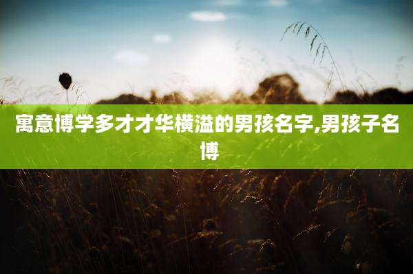 寓意博学多才才华横溢的男孩名字,男孩子名 博