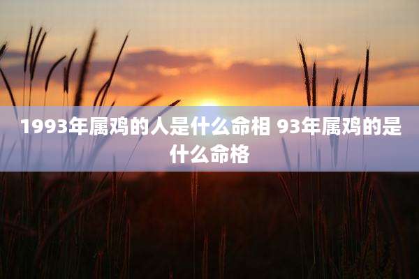 1993年属鸡的人是什么命相 93年属鸡的是什么命格