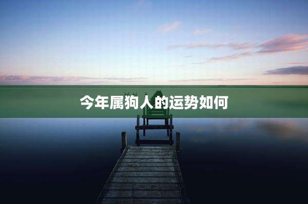 今年属狗人的运势如何
