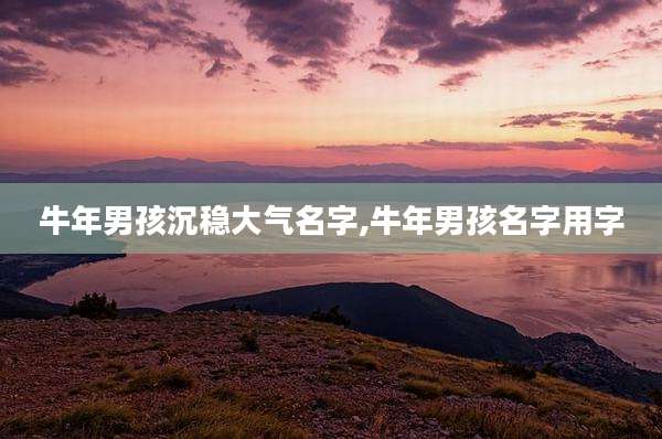 牛年男孩沉稳大气名字,牛年男孩名字用字