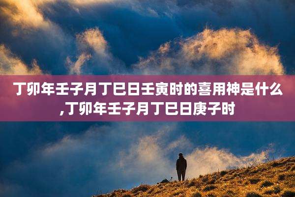 丁卯年壬子月丁巳日壬寅时的喜用神是什么,丁卯年壬子月丁巳日庚子时