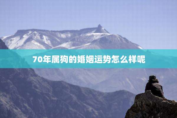 70年属狗的婚姻运势怎么样呢