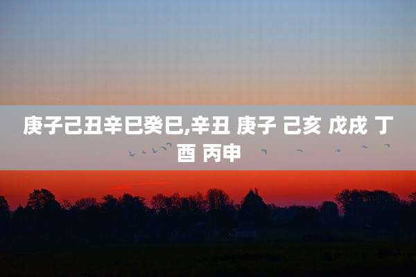 庚子己丑辛巳癸巳,辛丑 庚子 己亥 戊戌 丁酉 丙申