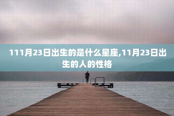 111月23日出生的是什么星座,11月23日出生的人的性格
