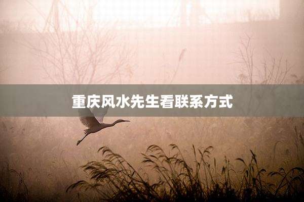 重庆风水先生看联系方式