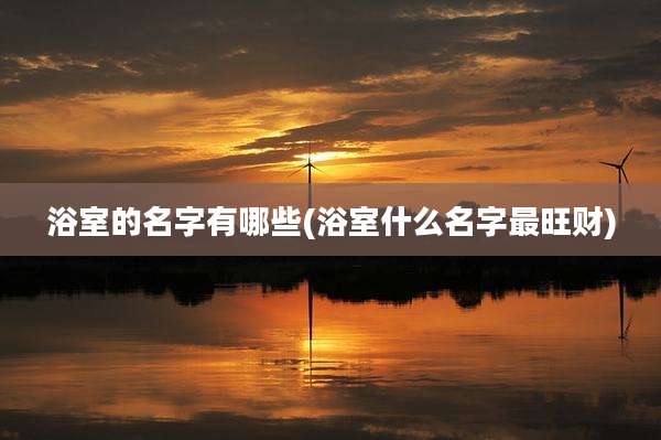 浴室的名字有哪些(浴室什么名字最旺财)
