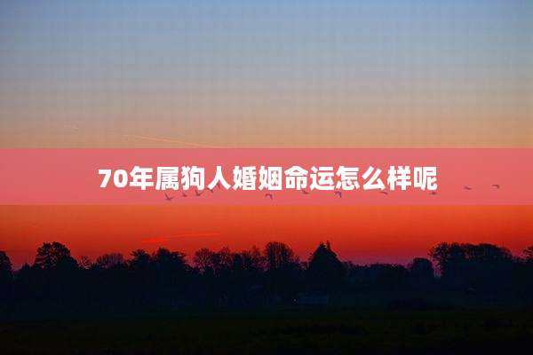 70年属狗人婚姻命运怎么样呢