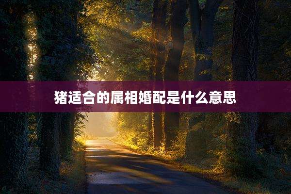 猪适合的属相婚配是什么意思