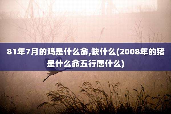 81年7月的鸡是什么命,缺什么(2008年的猪是什么命五行属什么)