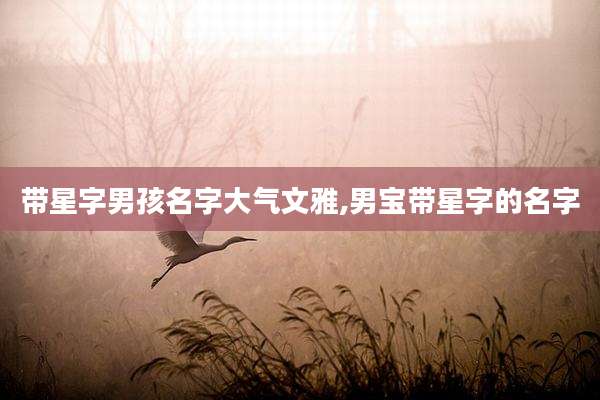 带星字男孩名字大气文雅,男宝带星字的名字